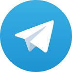 wealth dt6 online Telegram Bot